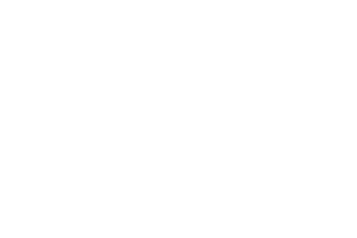 amalics GmbH
